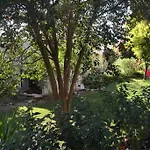 Sun In The